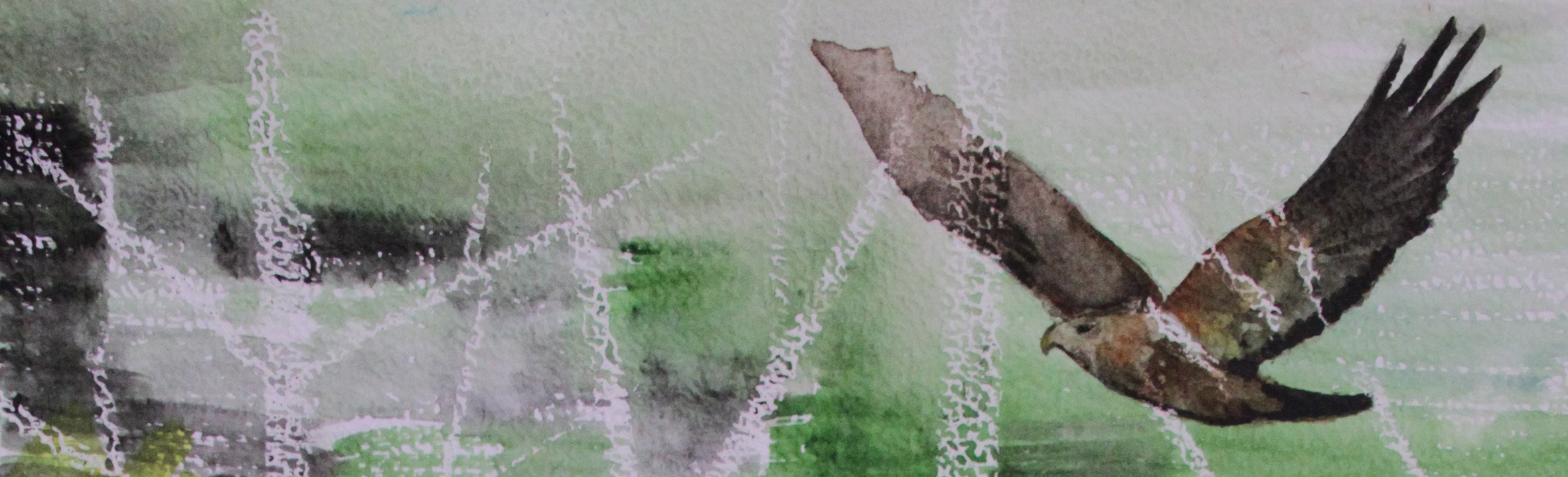 Buse Elise Vandenesch Tous droits réservés1