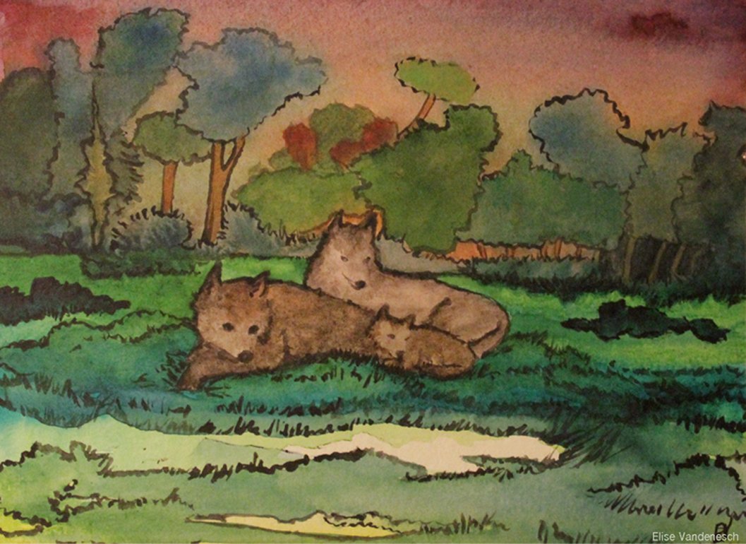 loups Elise Vandenesch tous droits reserves