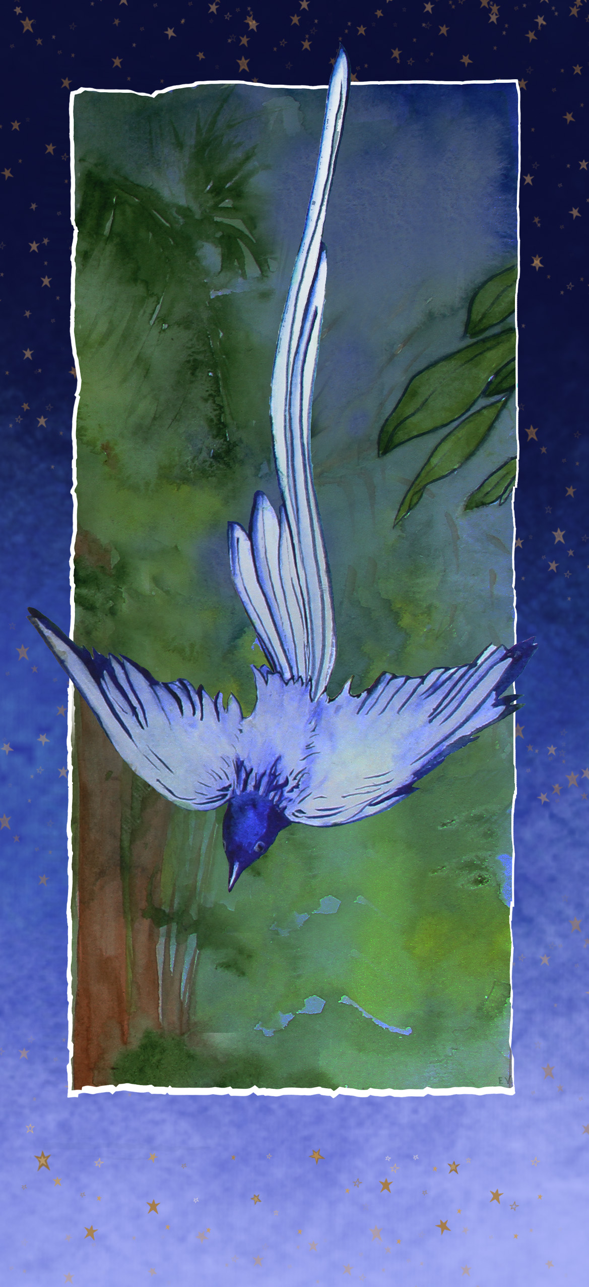 Oiseau de paradis Elise Vandenesch