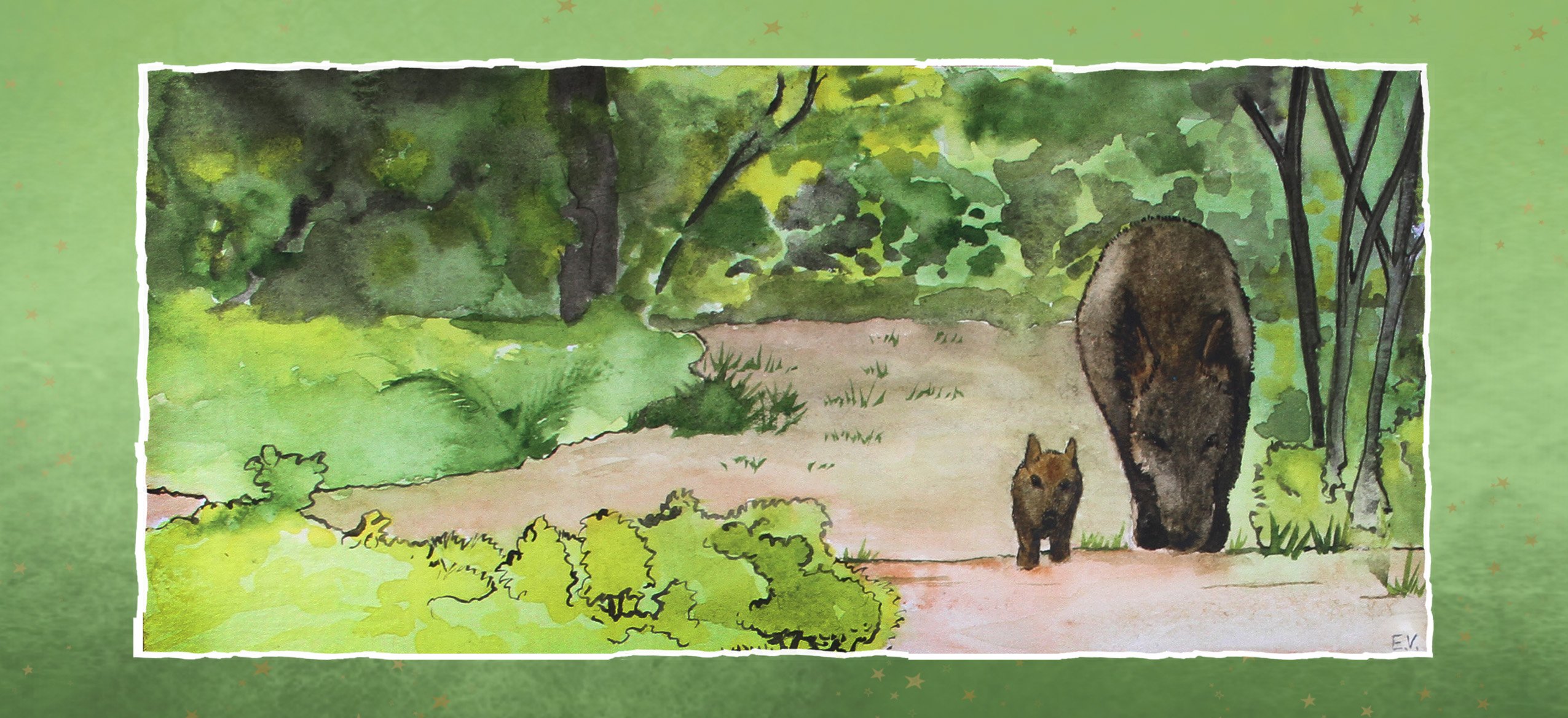 Sangliers Elise Vandenesch