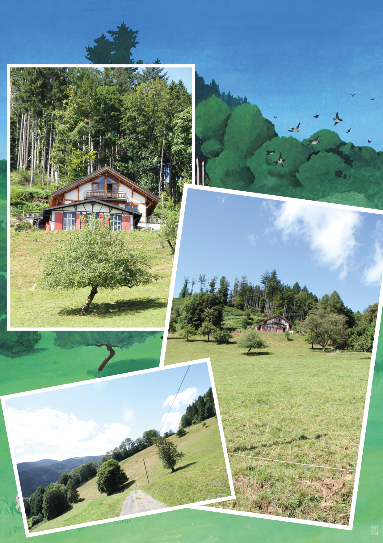 chalet-du-violu_le-pinceau-des-bois