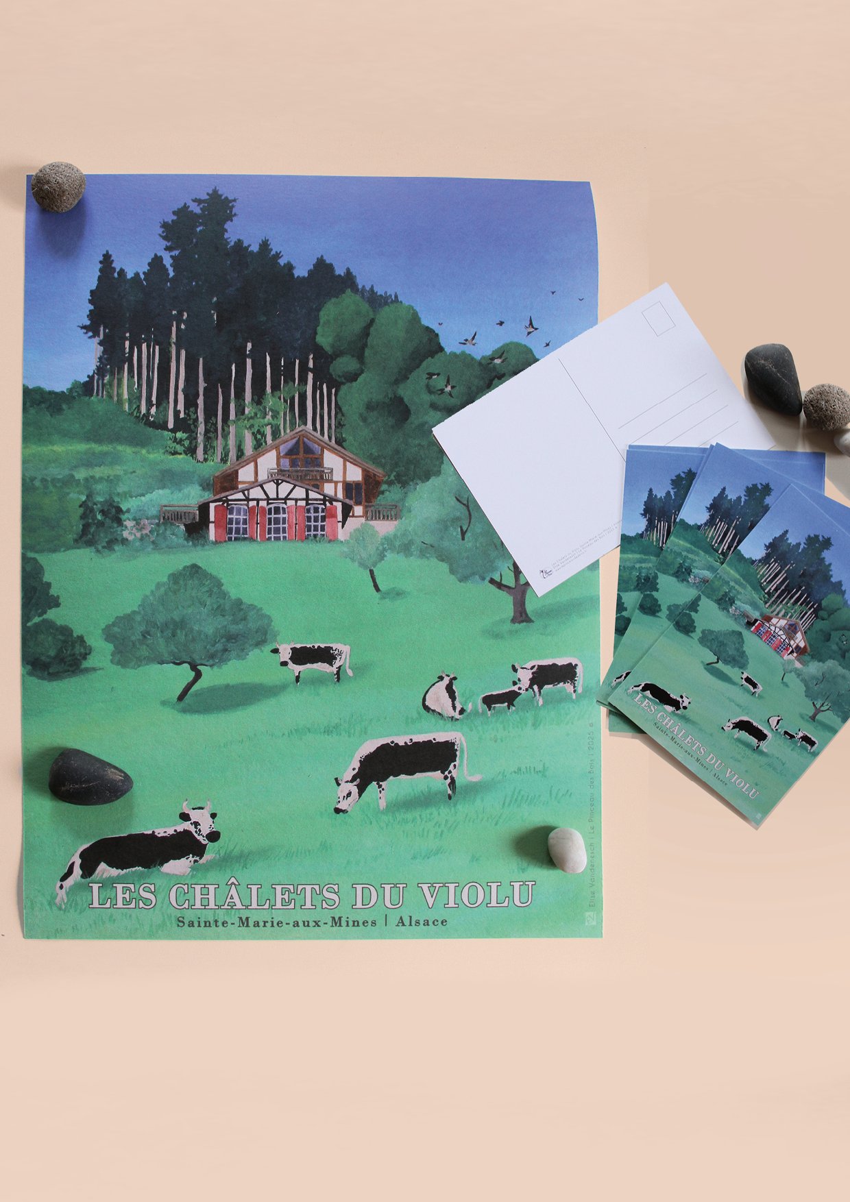 chalet-du-violu_le-pinceau-des-bois