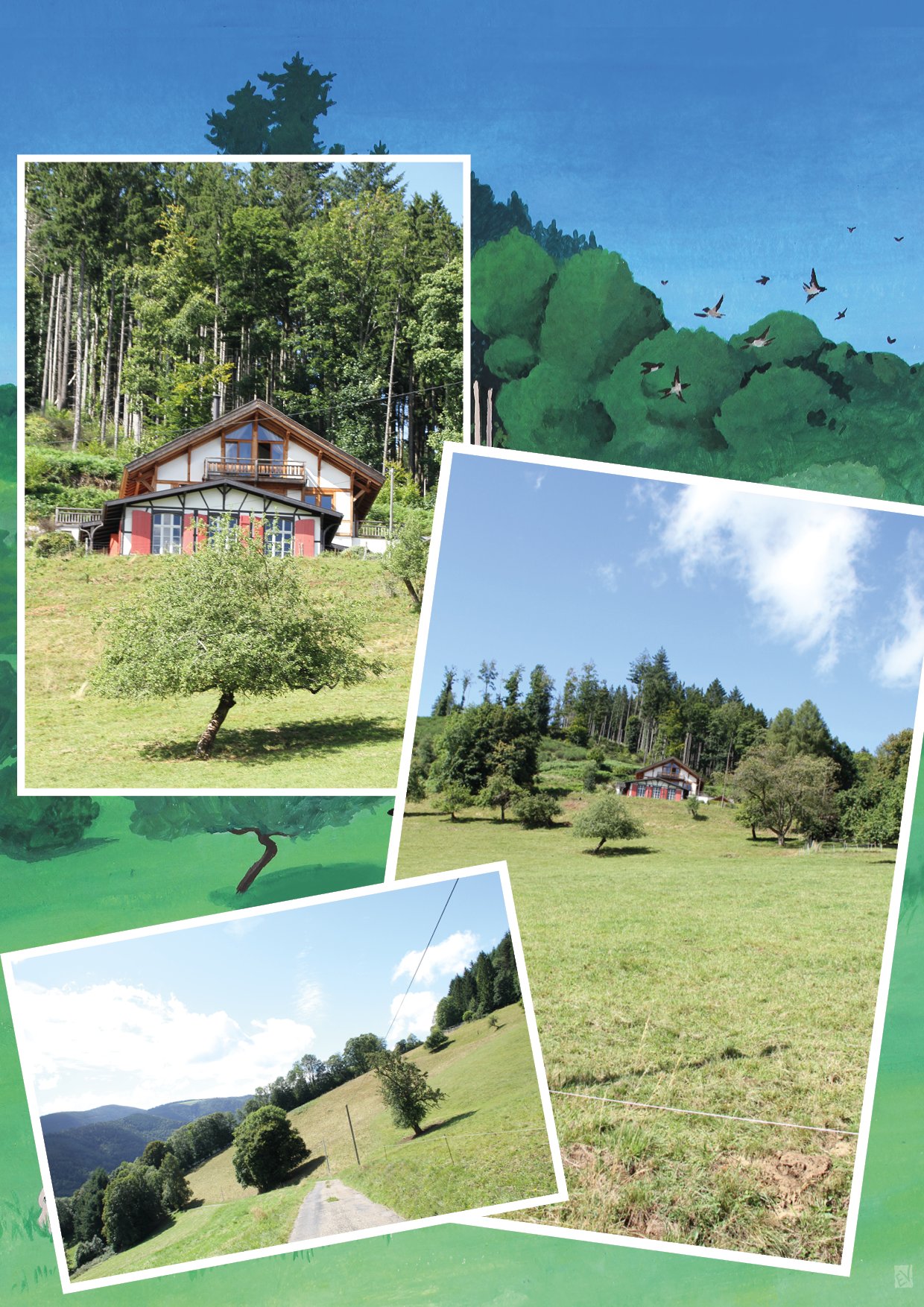 chalet-du-violu_le-pinceau-des-bois